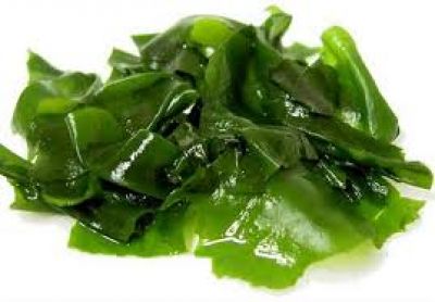 Loại thực vật lạ mà quen không ngờ giảm cholesterol, bảo vệ tim, chống tiểu đường
