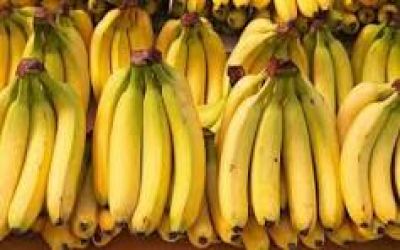 Bác sĩ: Ăn 6 loại quả quen thuộc sau đây giúp ngủ ngon hơn