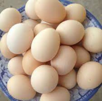 Anh nông dân tặng 12.000 quả trứng của gà nuôi bằng thảo dược, nghe nhạc Mozart cho y bác sĩ Bắc Giang