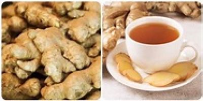 Loại tr&agrave; c&oacute; t&aacute;c dụng chống vi&ecirc;m, giảm mỡ m&aacute;u