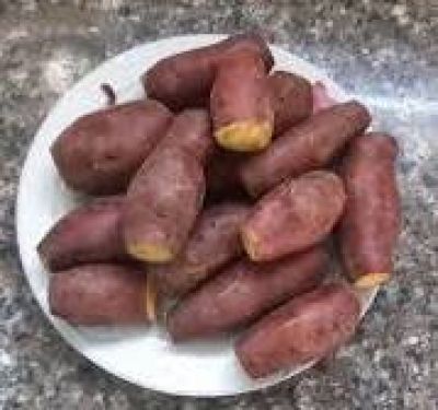 3 t&aacute;c dụng của khoai lang gi&uacute;p tăng tuổi thọ