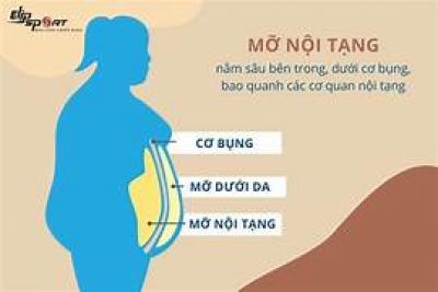 Mỡ nội tạng &acirc;m thầm g&acirc;y hại cho thận như thế n&agrave;o?