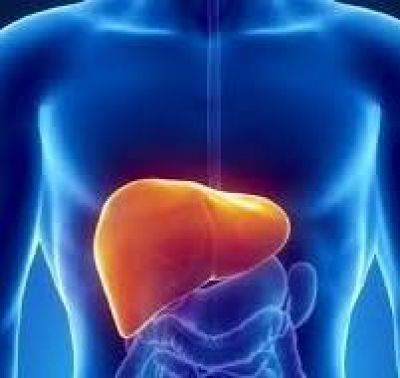 Ăn gì tốt cho gan, mát gan, những thực phẩm nào gây hại cho gan?