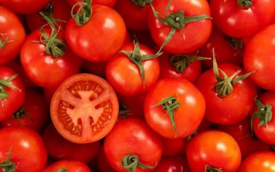 Ăn cà chua sống có tác dụng gì? Có nên ăn cà chua sống hằng ngày không?
