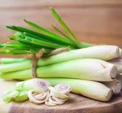 Cây sả thơm và có nhiều lợi ích, nhưng ai không nên dùng?