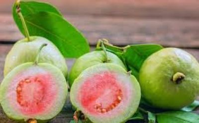 V&igrave; sao ăn ổi mỗi ng&agrave;y gi&uacute;p ổn định đường huyết, tốt cho tim?