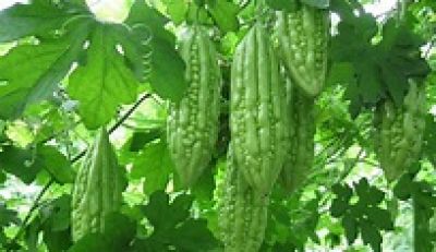 B&aacute;c sĩ được đ&agrave;o tạo tại Harvard h&eacute; lộ 3 loại rau tốt cho gan