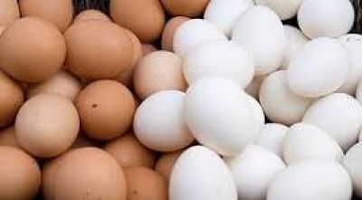 Điều g&igrave; xảy ra khi bạn ăn trứng mỗi ng&agrave;y?