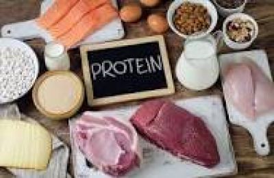 Các loại thực phẩm giàu protein tốt cho người bệnh sốt xuất huyết