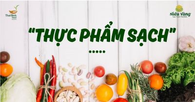 Những thực phẩm chống lão hóa tốt nhất cho tuổi 50