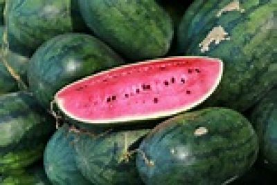 Điều g&igrave; xảy ra với thận khi ăn dưa hấu h&agrave;ng ng&agrave;y?