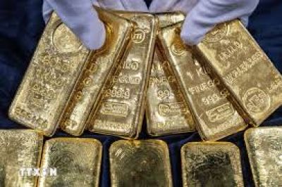 Giá vàng hôm nay 12-11: Đảo chiều lao xuống