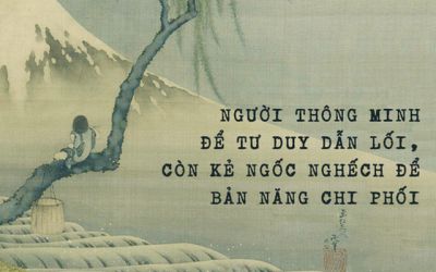 Tại sao bỏ nhiều cua vào xô mà không con nào bò ra được? Bài học quý giá từ quy luật của loài cua khiến nhiều người giật mình suy ngẫm, nhận ra vì sao cả đời mình không thể khá lên được