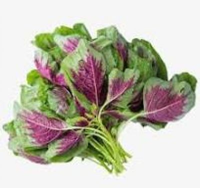 C&aacute;c loại rau n&agrave;o gi&agrave;u canxi?