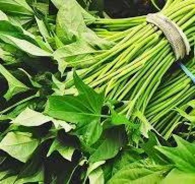 Bác sĩ giải thích lý do ăn rau lang 3 lần mỗi tuần