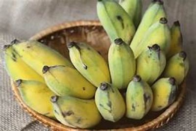 Chuy&ecirc;n gia chia sẻ sự thay đổi của cơ thể khi ăn chuối hằng ng&agrave;y trong một tuần