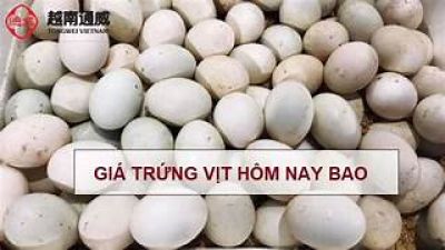 Điều g&igrave; xảy ra với cơ thể khi bạn ăn trứng mỗi ng&agrave;y?