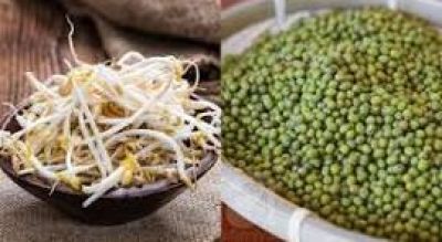 Gi&aacute; đỗ: Gi&aacute; trị dinh dưỡng, những ai cần lưu &yacute; khi ăn?