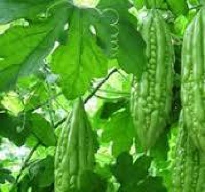 Mẹo chọn 10 loại rau quả