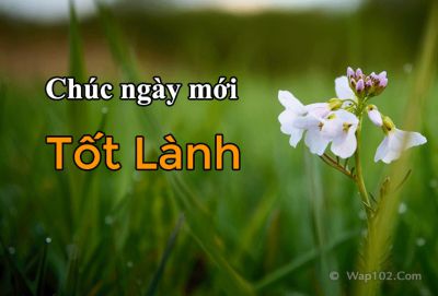 Khỏe mạnh về thể xác chưa đủ, giữ vững cả sức khỏe tinh thần trước nguy nan cuộc sống mới là hay