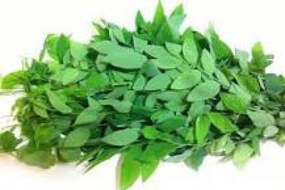 Những lưu &yacute; gi&uacute;p xương chắc khỏe cho người lớn tuổi