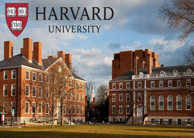 Harvard mất 75 năm nghiên cứu chỉ để tìm ra duy nhất một đáp án cho một cuộc sống hạnh phúc và khỏe mạnh: Đó là gì?